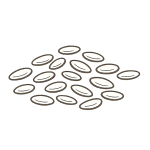 ing-rice