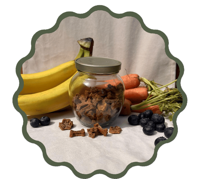Jar of Treats Jar of Treats